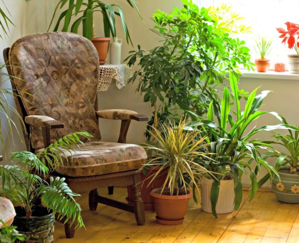1270 blog chair1
