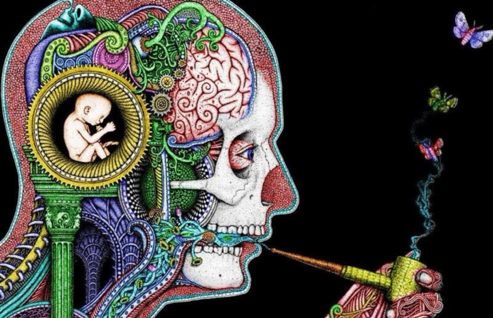1652 content 11 habits that negatively affect our brain econet ru