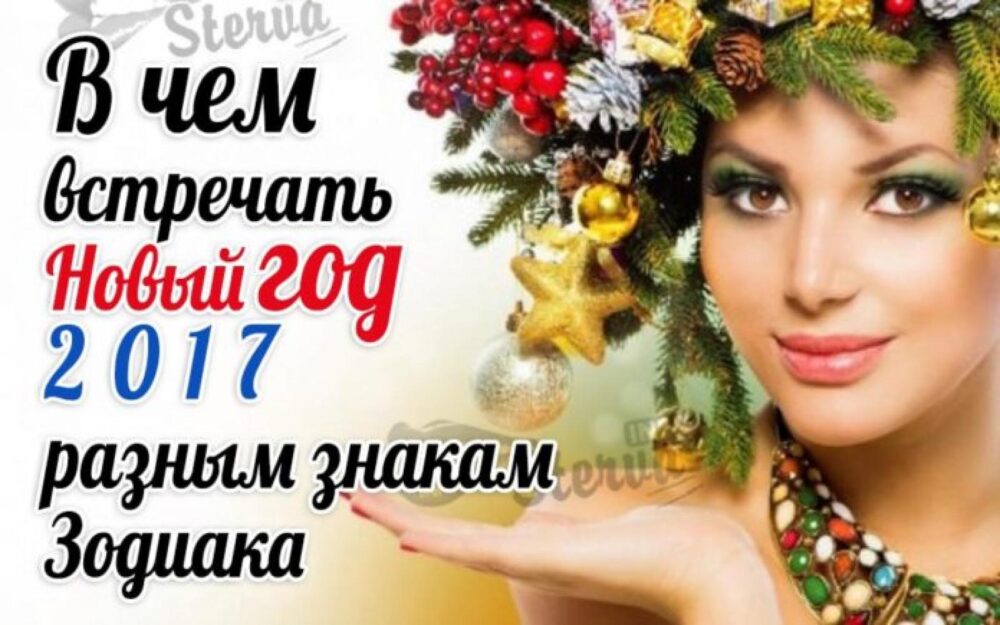852 v chem vstrechat novyy god 2017 po goroskopu min