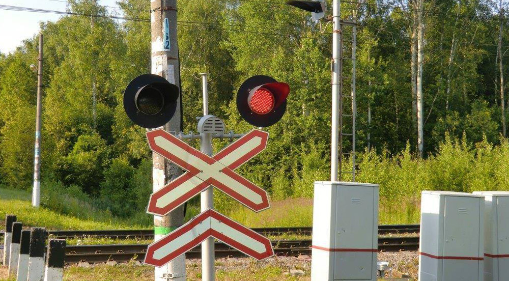 В Запорожской области <i>дерево упало</i> на жд пути и <i>заблокировало движение</i>