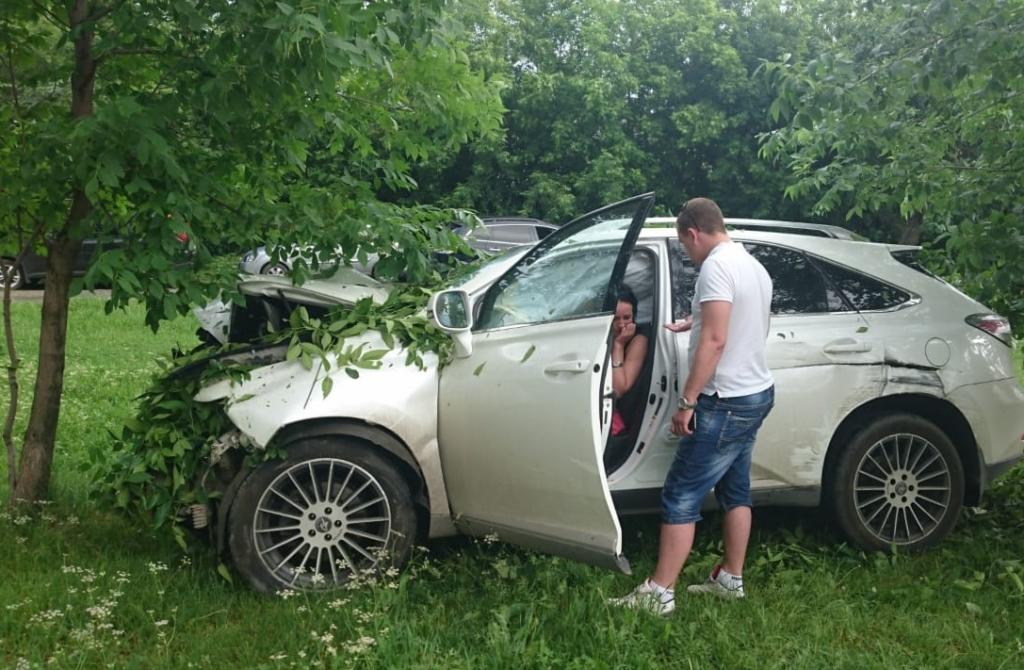 В <i>России </i>нетрезвая женщина на <i>Lexus </i>повалила деревья и допивала водку в машине полиции, - ВИДЕО