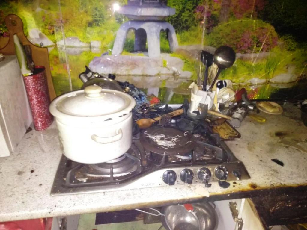 Из-за <i>забытой</i> на плите кастрюли <i>жительница Вольнянска</i> оказался в больнице, – ФОТО