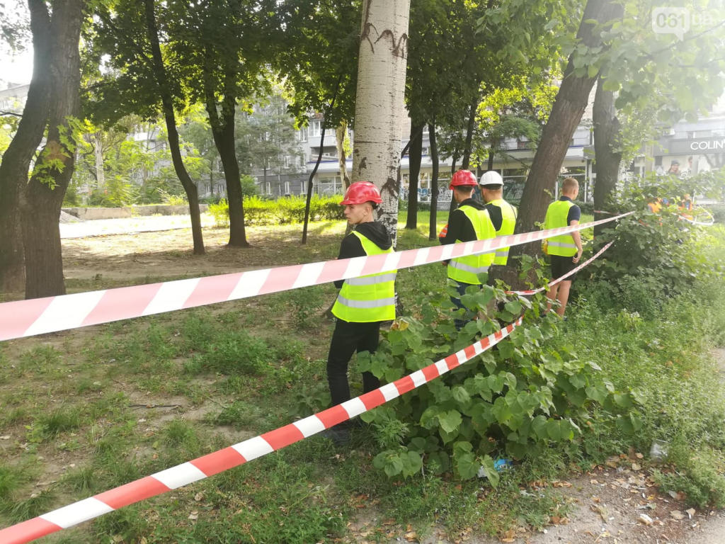В Запорожье в сквере Яланского <i>деревьев больше не осталось</i>, - ФОТО, ВИДЕО 