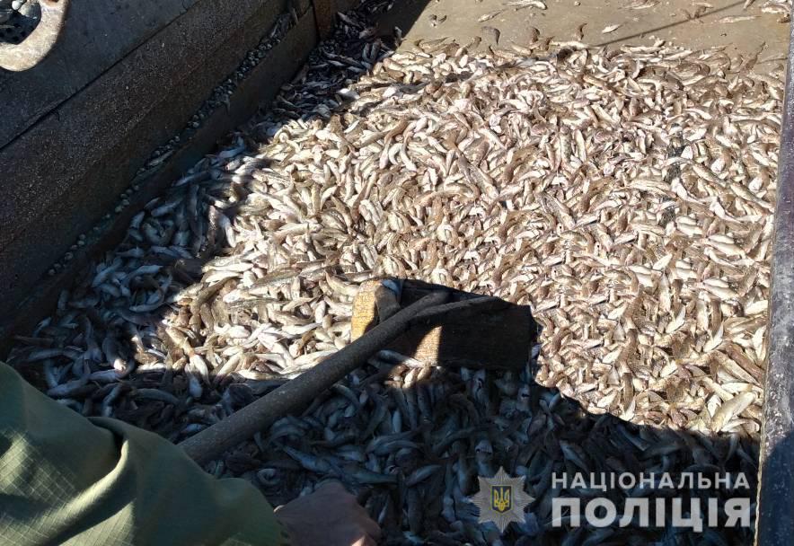 В Запорожской области разоблачили <i>браконьеров</i>, - ФОТО