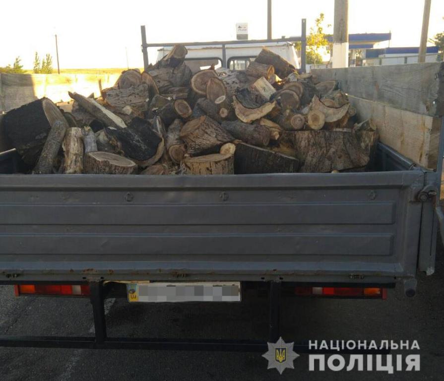 На запорожском курорте мужчина незаконно <i>вырубил деревья</i> и <i>приторговывал</i> ими