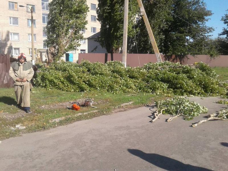 В Запорожской области женщину <i>убило током</i>, - ФОТО