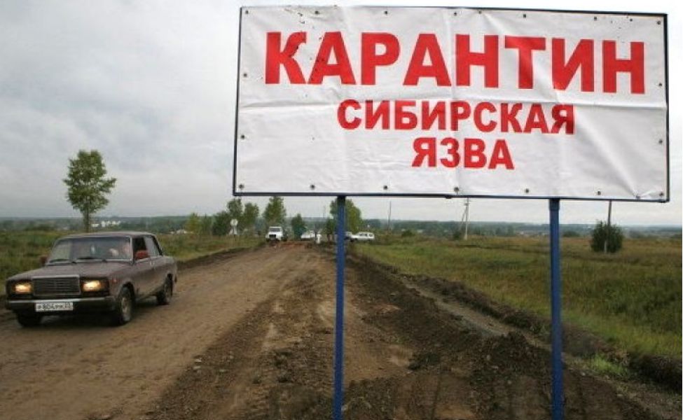 В Украине вспышка <i>сибирской язвы</i>
