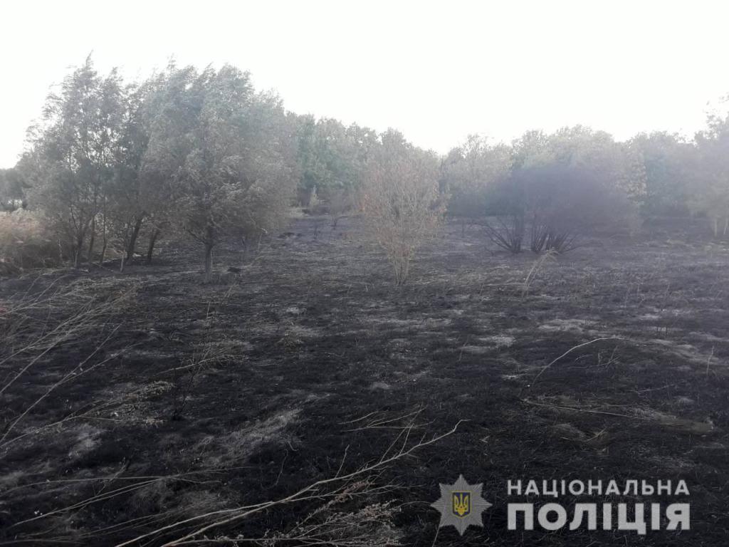 В Запорожской области бывший зэк <i>подпалил посадку</i>