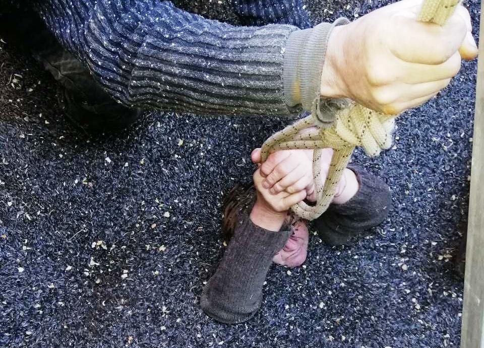 <i>Чуть не погибла</i>: В Запорожской области спасли женщину из <i>бака наполненного семенами подсолнечника</i>