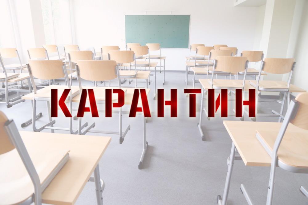 karantin 12.02