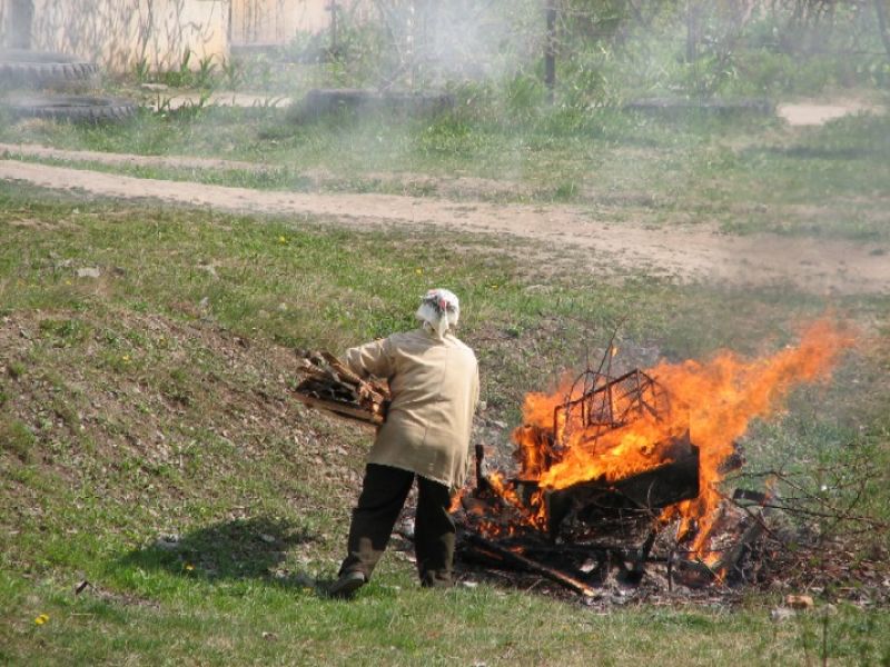 Людей <i>хотят штрафовать</i> за сжигание <i>травы и мусора</i>