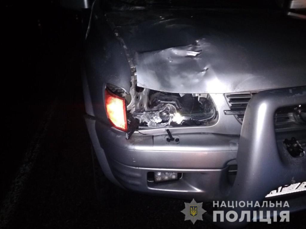 В Запорожской <i>области</i> в результате <i>аварии погиб</i> пешеход