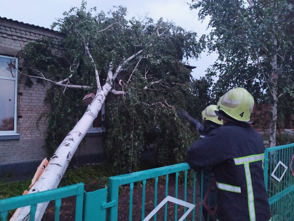 <i>Спасатели</i> ликвидировали <i>результаты непогоды</i> в Запорожской области
