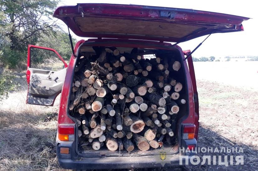 В Запорожской <i>области</i> задержали <i>нелегальных</i> дровосеков