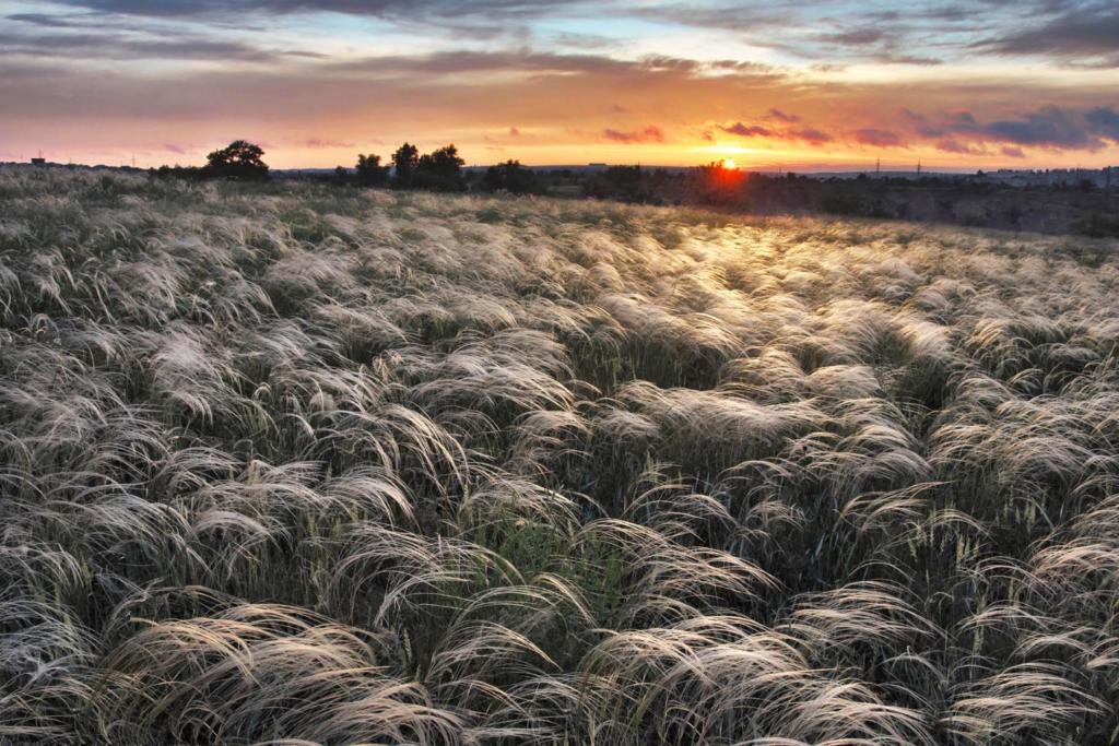 Сфотографировать пейзаж. Как фотографировать пейзаж.