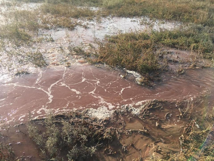 <i>Загрязненные воды</i> Запорожского комбината<i> заливают Приазовский природный парк</i>