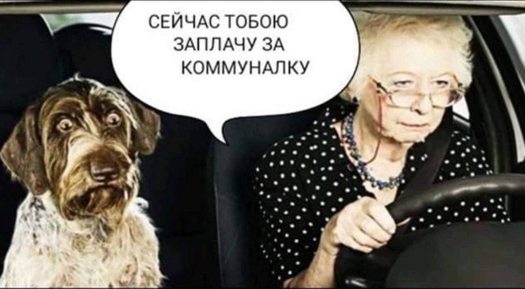 <i>«Нет денег на коммуналку - продайте собаку!»:</i> Евгений Брагарь попал в скандал
