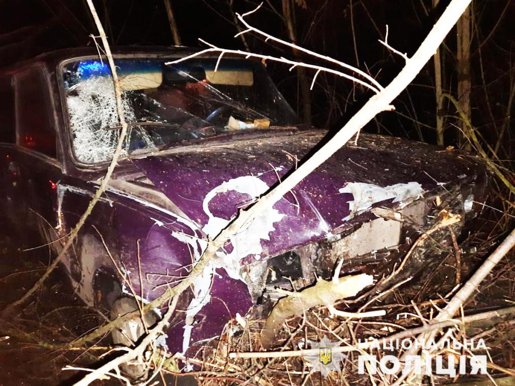 В Запорожской области <i>пешеход попал </i>под два автомобиля<i> и погиб</i>