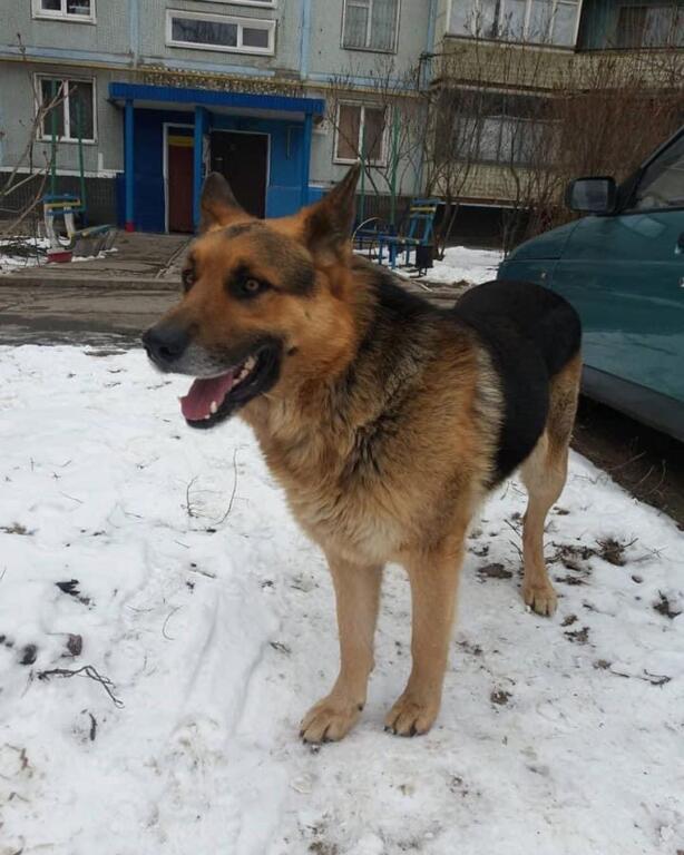 пес