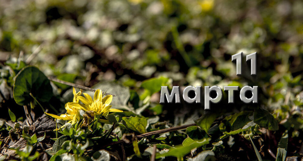 11 марта