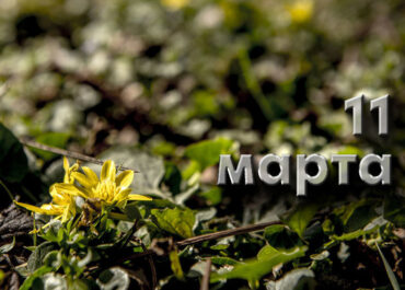 11 марта