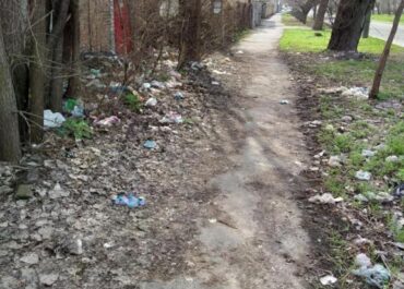 дорога из мусора