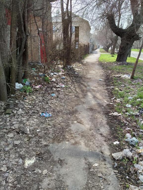 дорога из мусора