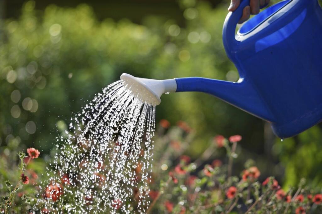 garden watering 04