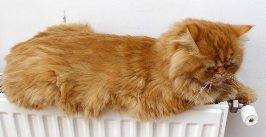 отопительный сезон