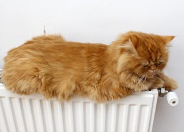 отопительный сезон