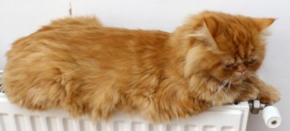 отопительный сезон