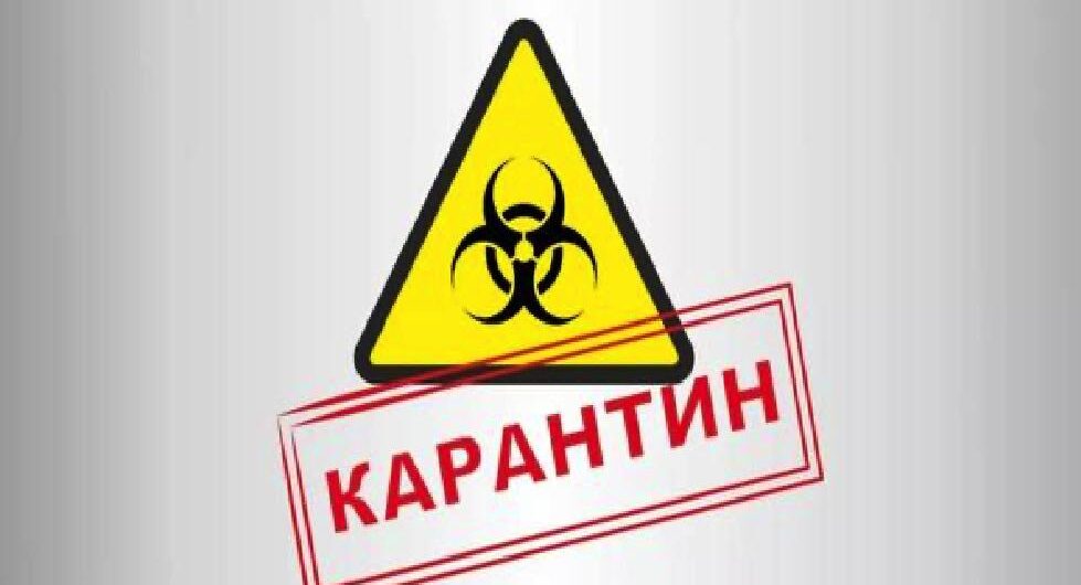 карантинные ограничения