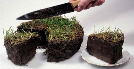 аграрное рейдерство