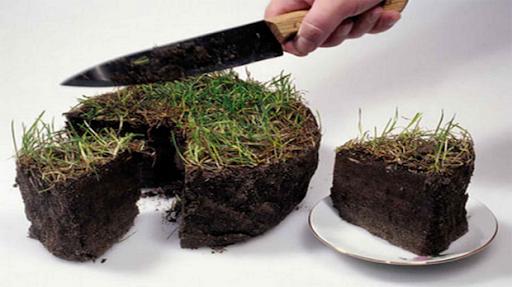 аграрное рейдерство