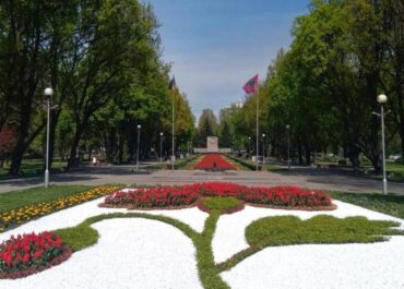 красный мак