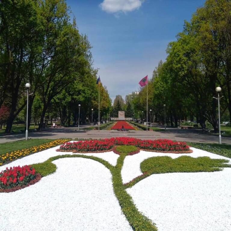 красный мак