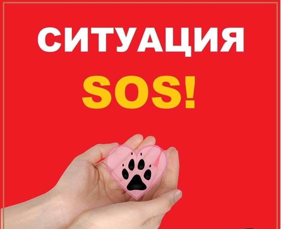 помощь