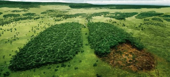 грязный город