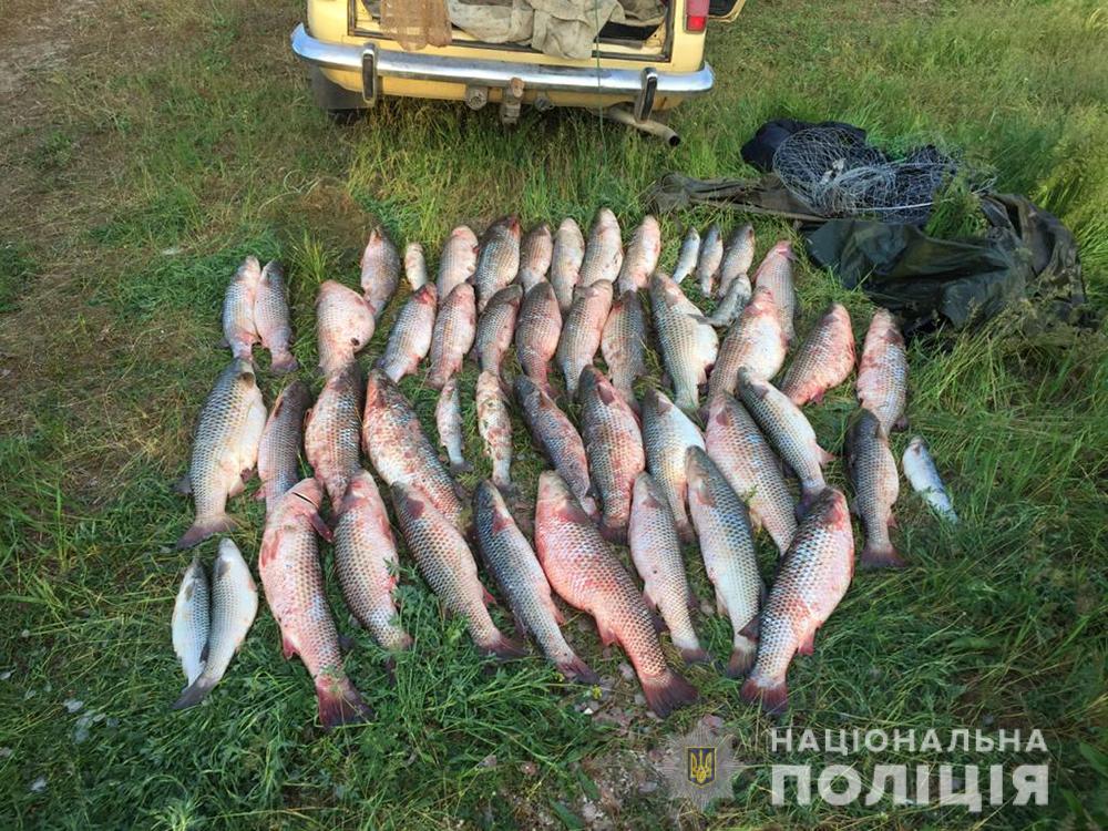 В Запорожской области задержали браконьеров с уловом на 80 тысяч гривен, - ФОТО