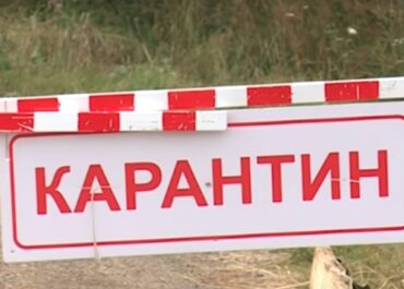 карантин