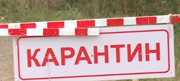 карантин