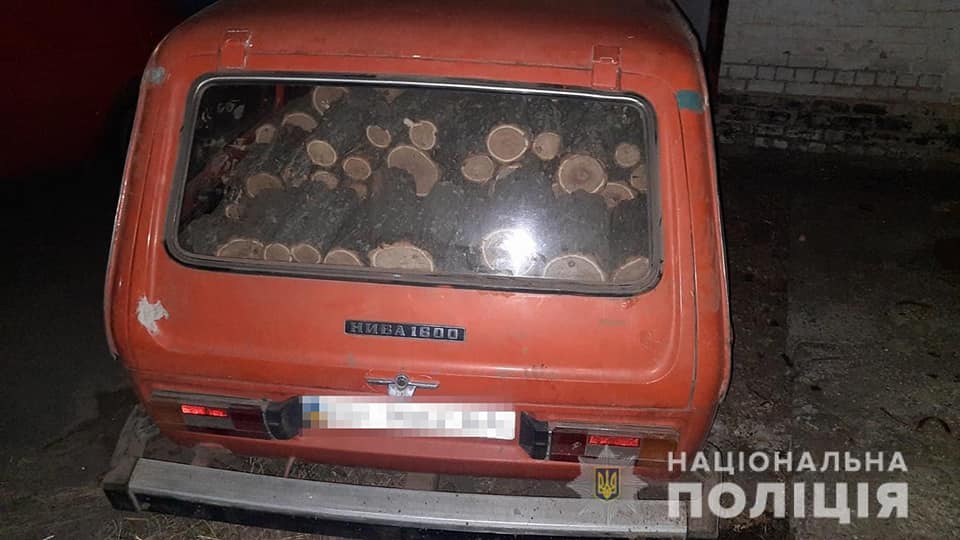 🌲 У Запоріжжі викрили «чорних» лісорубів: знищили 600 дерев і продавали дрова онлайн