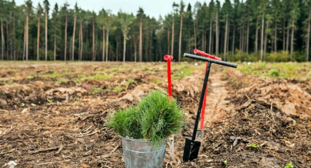 В Запорожской области начата <i>инвентаризация</i> водных объектов, лесных ресурсов, объектов государственной и коммунальной собственности