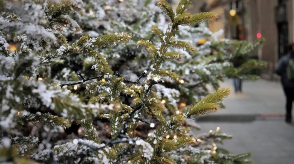 5e06fb8624fd9 christmas tree 4679463 1920 1200x670 scaled