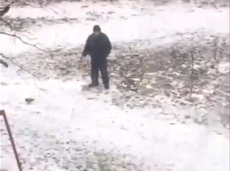 Украинец показал как правильно выгуливать голубя, ВИДЕО