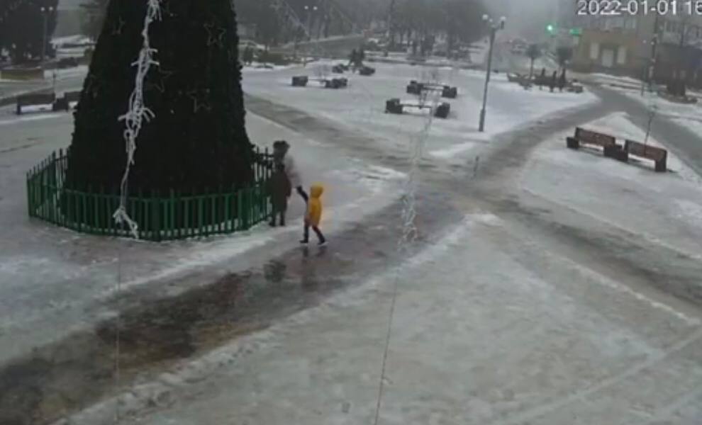 «Гринч существует»: в Васильевке женщина повредила главную ёлку города, - ВИДЕО