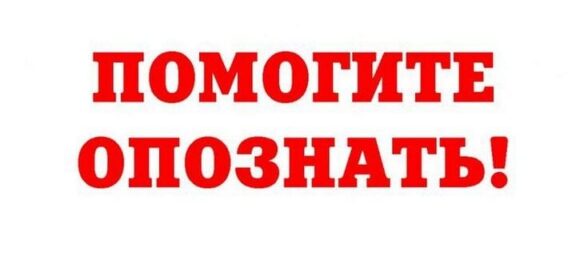 помогите опознать