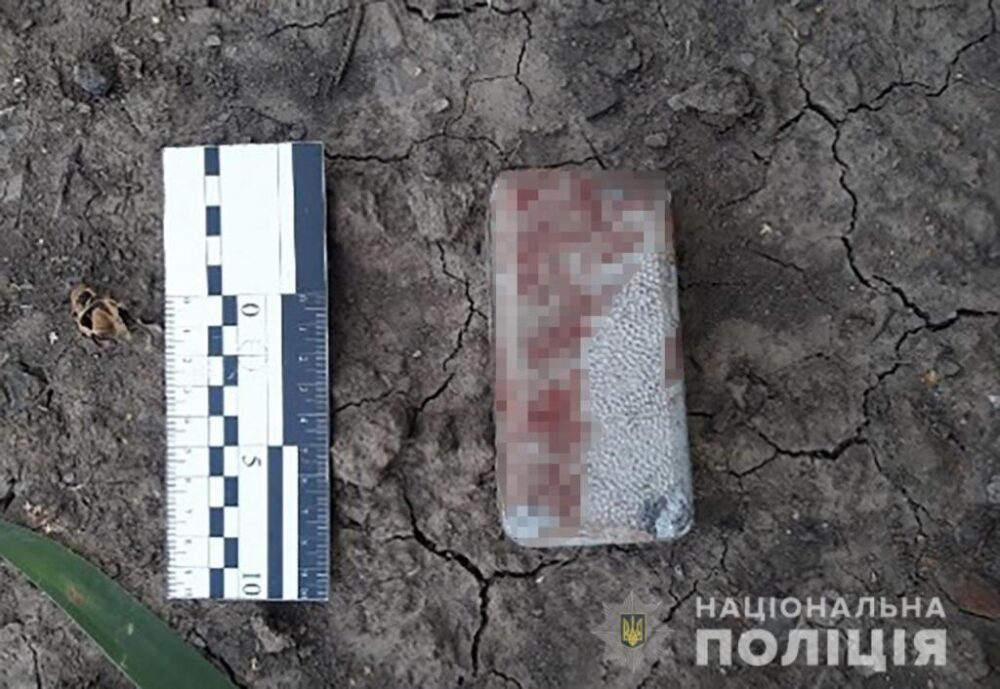 В Запоріжжі чоловік напав на 70-річну жінку, вдарив її цеглиною, та пограбував, - ФОТО
