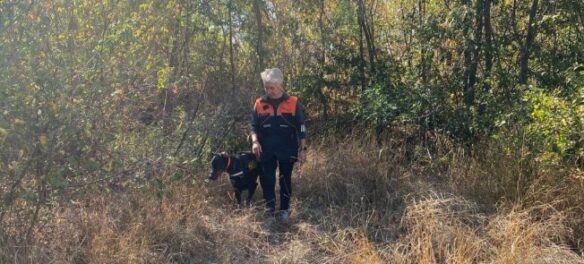 Собака шукає труп чоловіка