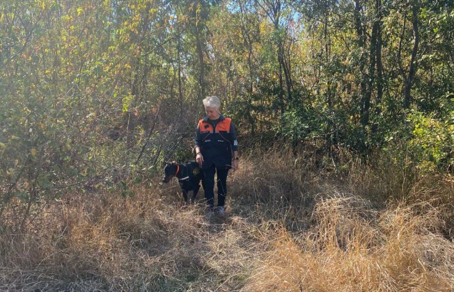 Собака шукає труп чоловіка